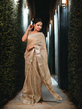 Beige Tissue Linen saree - fourth